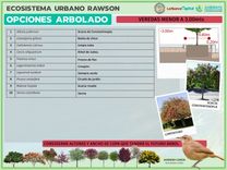 3-ARVOL VEREDA ANOSTA.jpg