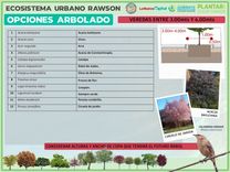 4-ARbOL VEREDA MEDIA - copia.jpg