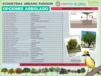 5-ARBOL VEREDA ANCHA.jpg