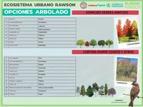 6-ARBOL ESP VERDE.jpg