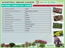 7-arbustivas - copia.jpg