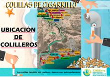 ubicacion colilleros.jpg